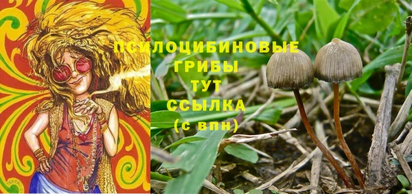таблы Инта