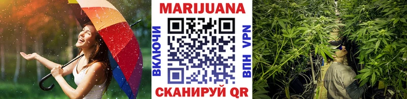 Шишки марихуана сатива Купить закладки Горняк